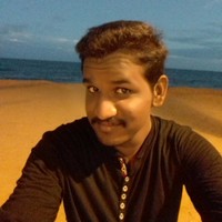 K. Ravichandiran Ravi