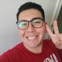 Sebastian Caro Figueroa
