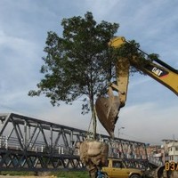 Victor Manuel Delgado Palma