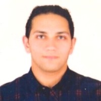 Assem Kamel