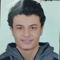 Amr Essam