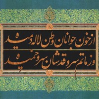 REZA Amiri