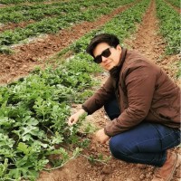 Jesús Alberto Martínez