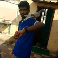 Jose P Mathew