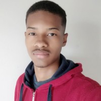Marcus Vinicius De Amorim Silva