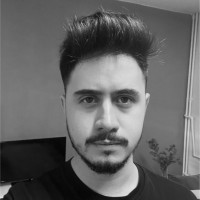 Berkay Ertem