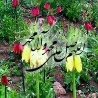Abdollah Mehdizadeh