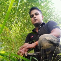 Awadh Pal