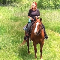 S. Renee' Sheehan  PHR