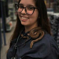 Alice Cristina