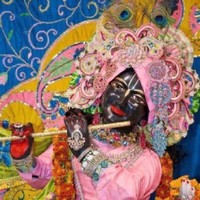 Santosh Pandita