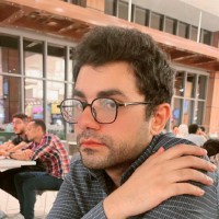 Shady M Sadek