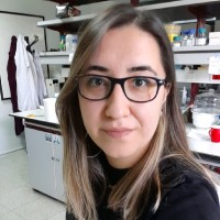 Büşra Öztürk