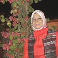 Samaa Zidan