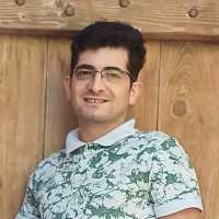 Mohsen Alipour