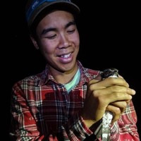 Dan Yip