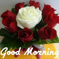 vaneet kumar paterwal