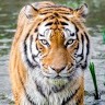 Sonar Bangla