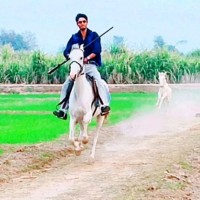 Ali Raza Janjua