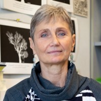 Cinzia Volonté
