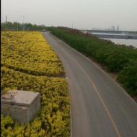 郭春良