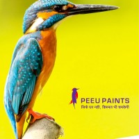 PEEU PAINTS