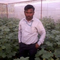 Natkar Sheshnarayan