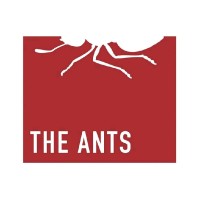 THE ANTS Group