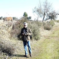 higinio Agustin Gómez Vicente