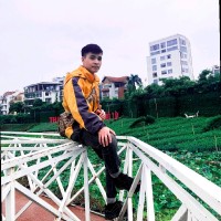Trí Nguyễn