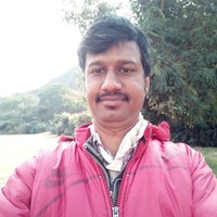 Dinesh Shekhawat