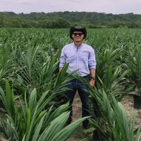 Andrés Castro Avellaneda