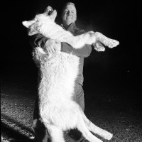 Brad Heimke