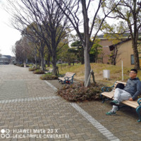 范青峰
