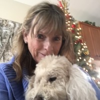Cindy Schachter