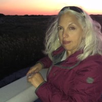 Donna Didonato