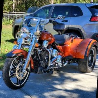 Karen Phelps, RVT, LVT