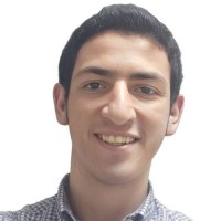 Mahmoud Mohsen