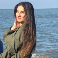 Asal hamidi