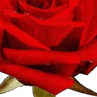 Overseer Willis Y Broughton