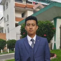 David Alejandro Ramón Silva