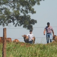 emerson camargo