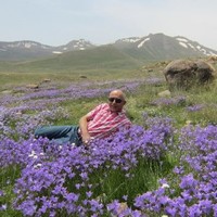 Farzin Shivaei