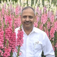 Manish Chakurkar
