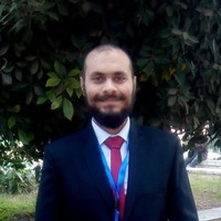 Mostafa Hisham