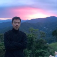 Toan Dang