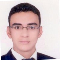ahmed ahmed mohamed