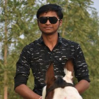 Harsh Trivedi