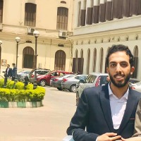Mostafa Mohamed Elsayed