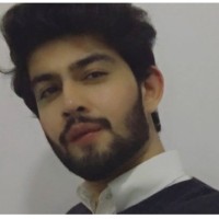 Ameer Hamza Idrees